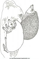disegni_religione/noe/noe3.JPG