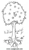 disegni_scienze/ciclo_pianta/cicloPianta7.JPG