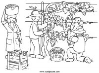disegni_scienze/ciclo_vino/vinoVendemmia.JPG