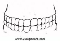 disegni_scienze/corpo_umano/boccadenti9650.JPG