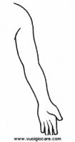 disegni_scienze/corpo_umano/braccio29650.JPG