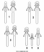 disegni_scienze/corpo_umano/cromosomi9650.JPG