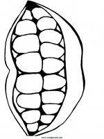 disegni_scienze/corpo_umano/denti_1.JPG