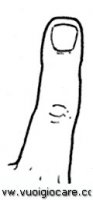 disegni_scienze/corpo_umano/dito9650.JPG