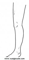 disegni_scienze/corpo_umano/gamba9650.JPG