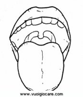 disegni_scienze/corpo_umano/lingua9650.JPG