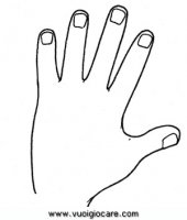 disegni_scienze/corpo_umano/mano9650.JPG