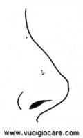 disegni_scienze/corpo_umano/naso9650.JPG