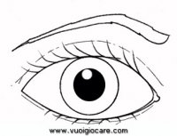 disegni_scienze/corpo_umano/occhio9650.JPG