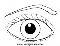disegni_scienze/corpo_umano/ojo9650.JPG