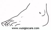 disegni_scienze/corpo_umano/piede29650.JPG