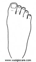 disegni_scienze/corpo_umano/piede9650.JPG