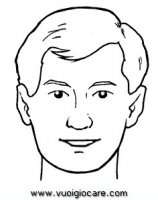 disegni_scienze/corpo_umano/viso9650.JPG