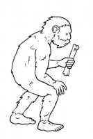 disegni_scienze/evoluzione/evoluzione_uomo_b14.jpg