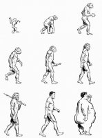 disegni_scienze/evoluzione/evoluzione_uomo_b8.jpg