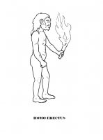 disegni_scienze/evoluzione/homoErectus.jpg