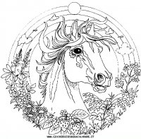 disegni_vari/mandala_animali/mandala_animali_1.JPG