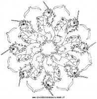 disegni_vari/mandala_animali/mandala_animali_11.JPG