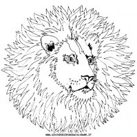 disegni_vari/mandala_animali/mandala_animali_12.JPG