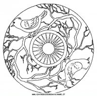 disegni_vari/mandala_animali/mandala_animali_28.JPG
