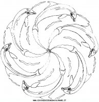 disegni_vari/mandala_animali/mandala_animali_31.JPG
