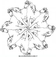 disegni_vari/mandala_animali/mandala_animali_33.JPG