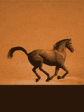 cavallo al galoppo