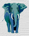 disegni da colorare elefanti