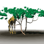 giraffa