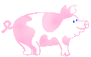 disegni da colorare maiale