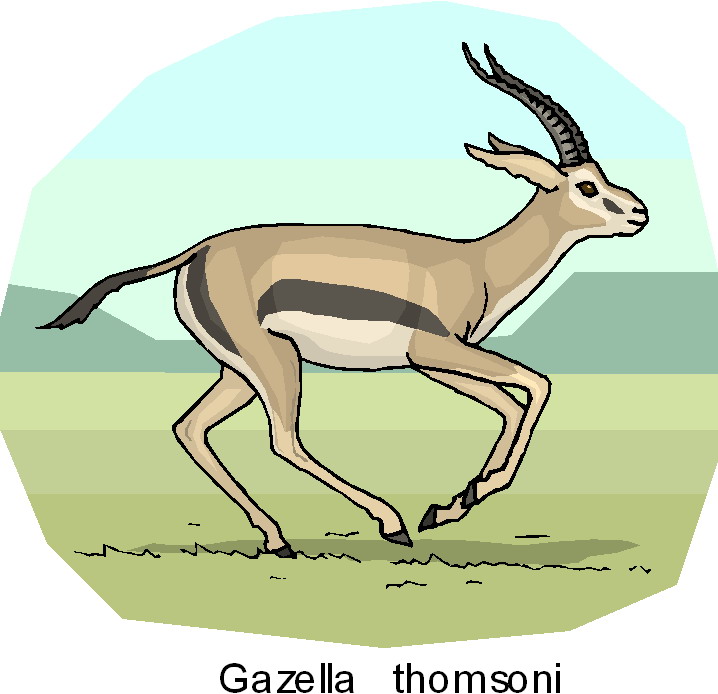 disegni da colorare animali della savana