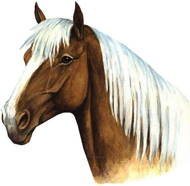 disegni da colorare di cavalli