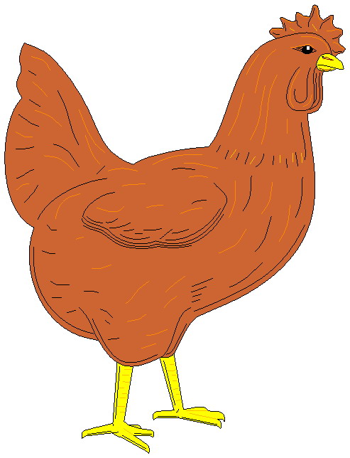 disegni da colorare gallina