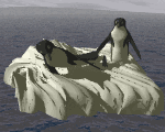 clipart pinguino