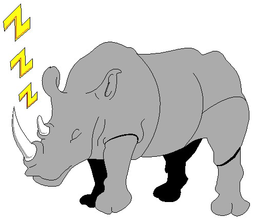 disegni da colorare rinoceronte
