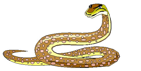 disegni da colorare serpente