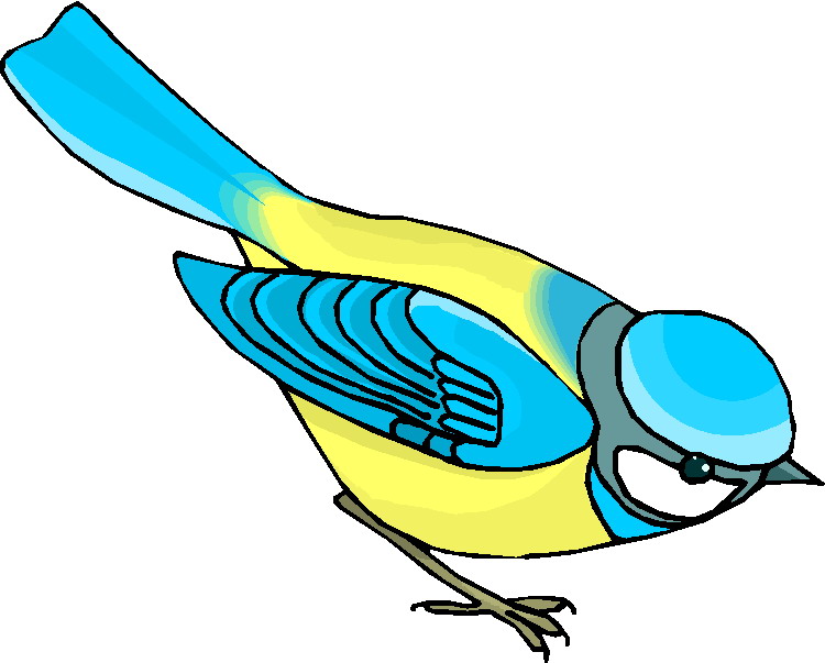 disegni da colorare di uccelli