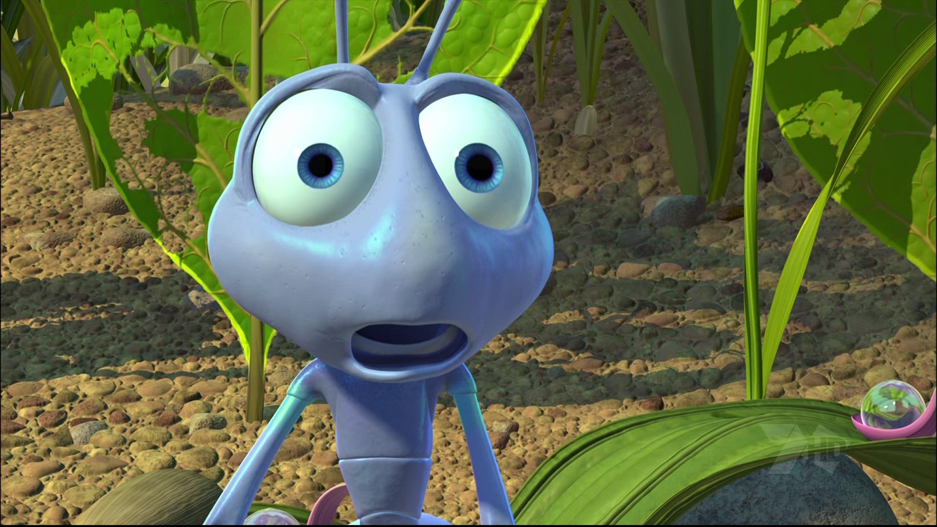 disegni da colorare bugs life