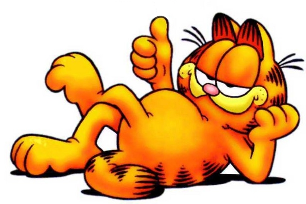 disegni da colorare garfield