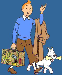 disegni da colorare tin tin