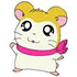 hamtaro