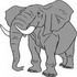 elefante