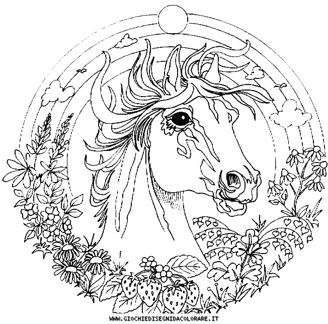 mandala di animali da colorare
