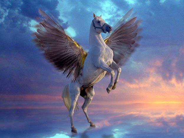 disegni da colorare pegaso
